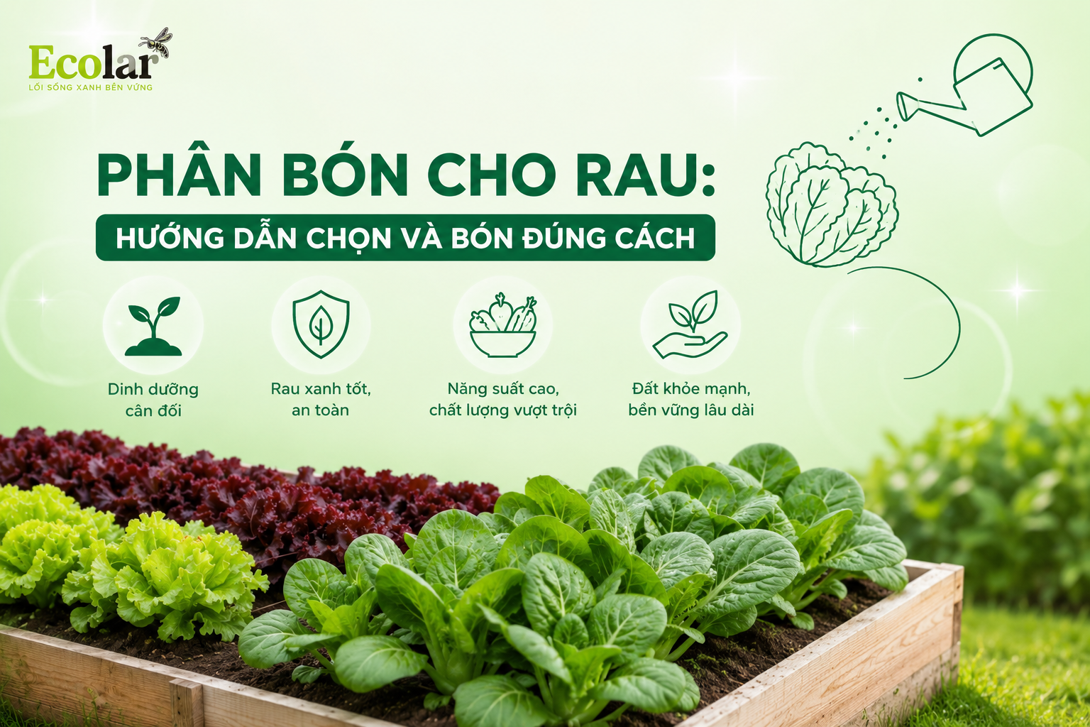 Phân Bón Cho Rau: Hướng Dẫn Chọn Và Bón Đúng Cách