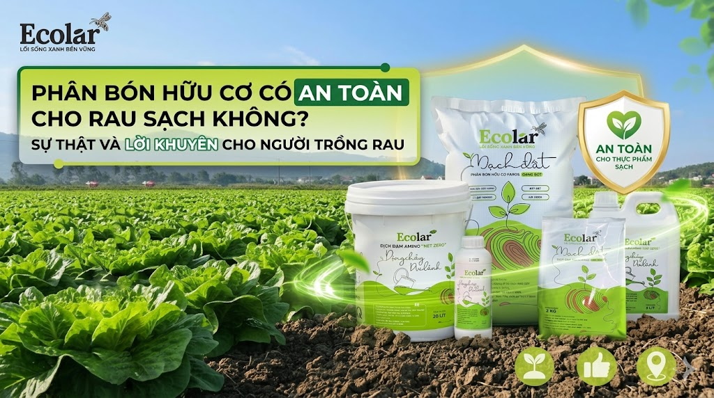 Phân Bón Hữu Cơ Có An Toàn Cho Rau Sạch Không?