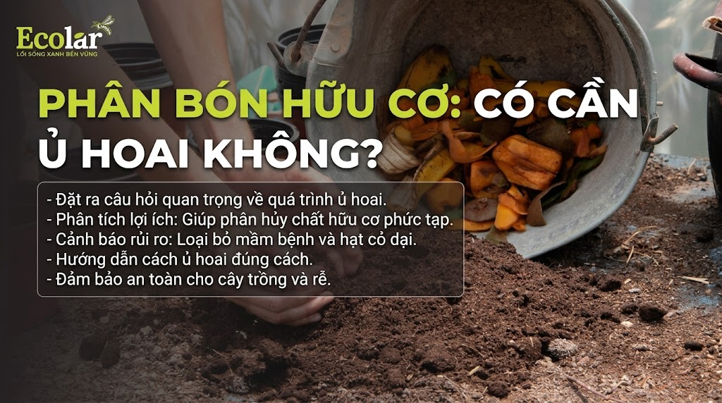 Phân Bón Hữu Cơ Có Cần Ủ Hoai Không?