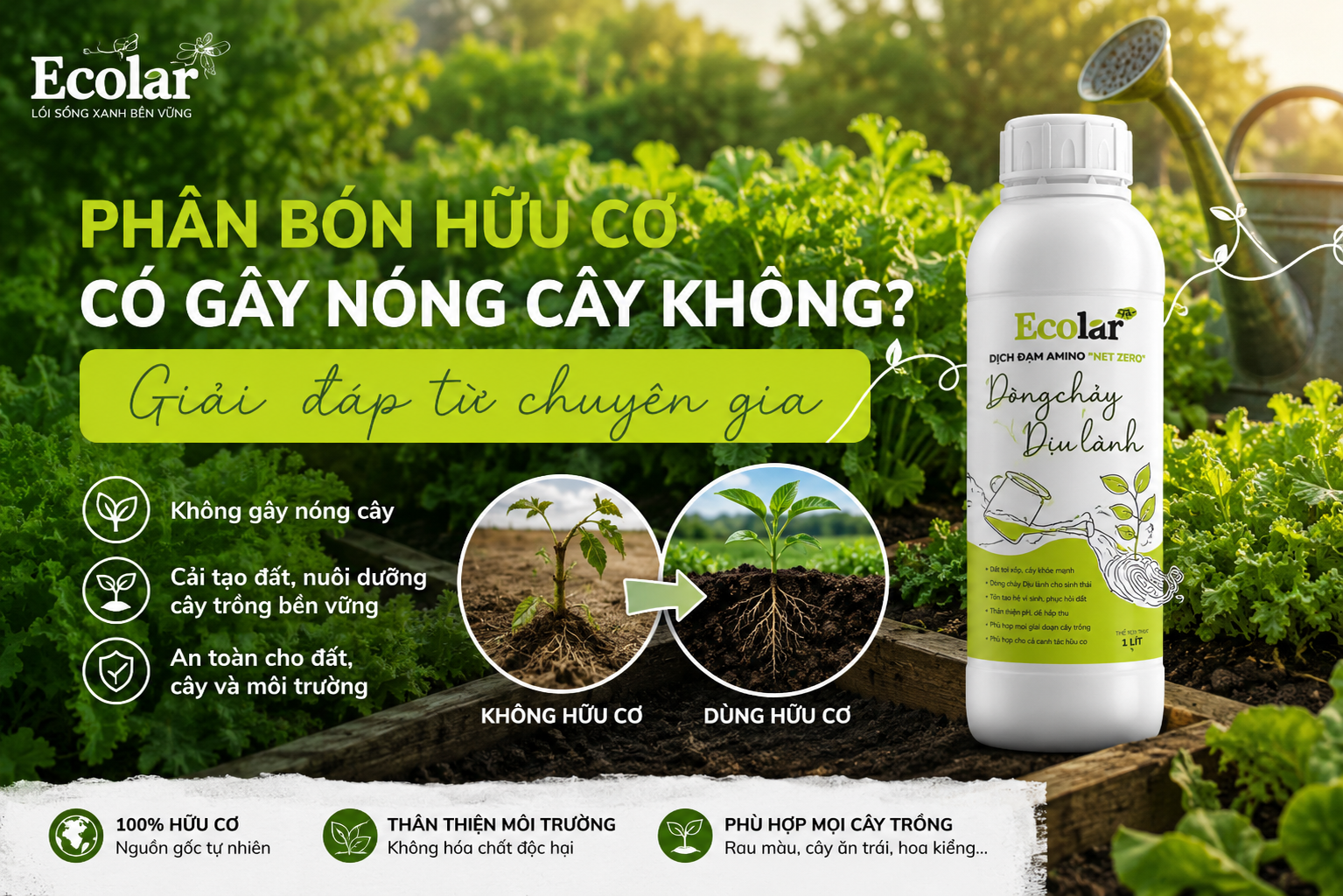 Phân Bón Hữu Cơ Có Gây Nóng Cây Không?