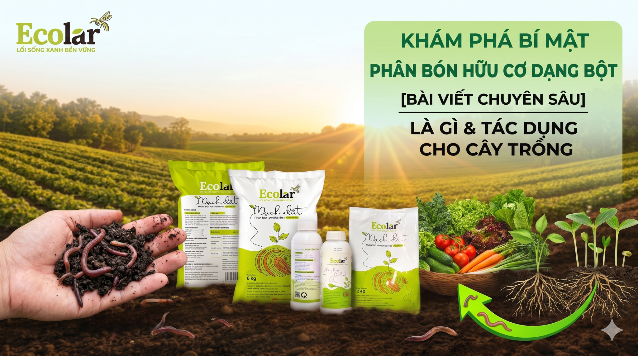 Phân bón hữu cơ dạng bột: Ưu nhược điểm và cách sử dụng hiệu quả