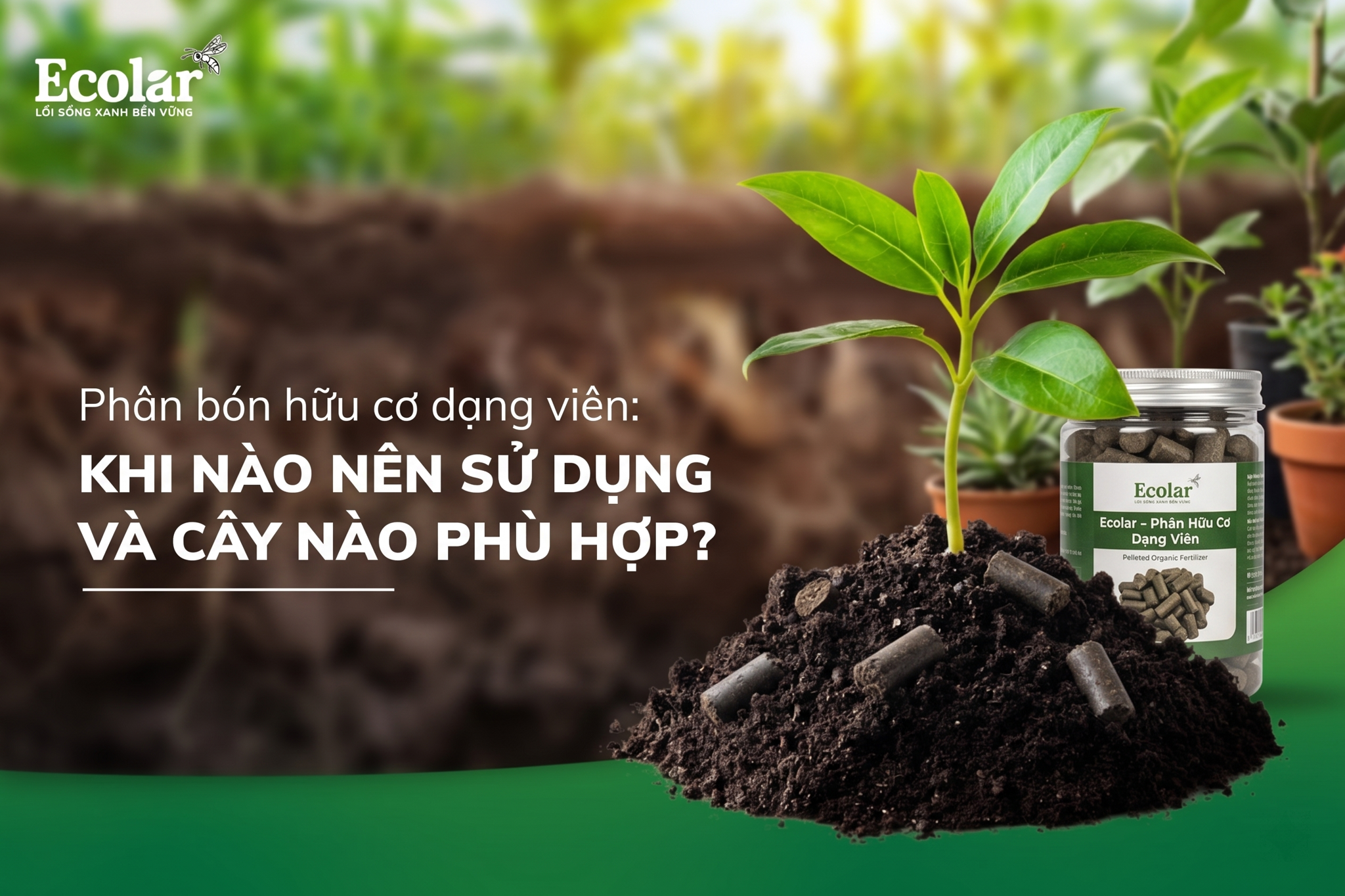 Phân bón hữu cơ dạng viên: Khi nào nên dùng và phù hợp với cây nào