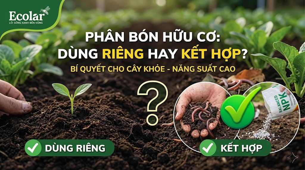 Phân Bón Hữu Cơ Nên Dùng Riêng Hay Kết Hợp?