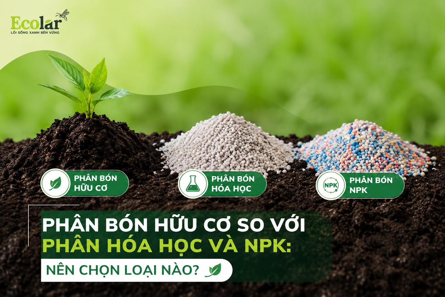 Phân Bón Hữu Cơ So Với Phân Hóa Học Và NPK: Nên Chọn Loại Nào?