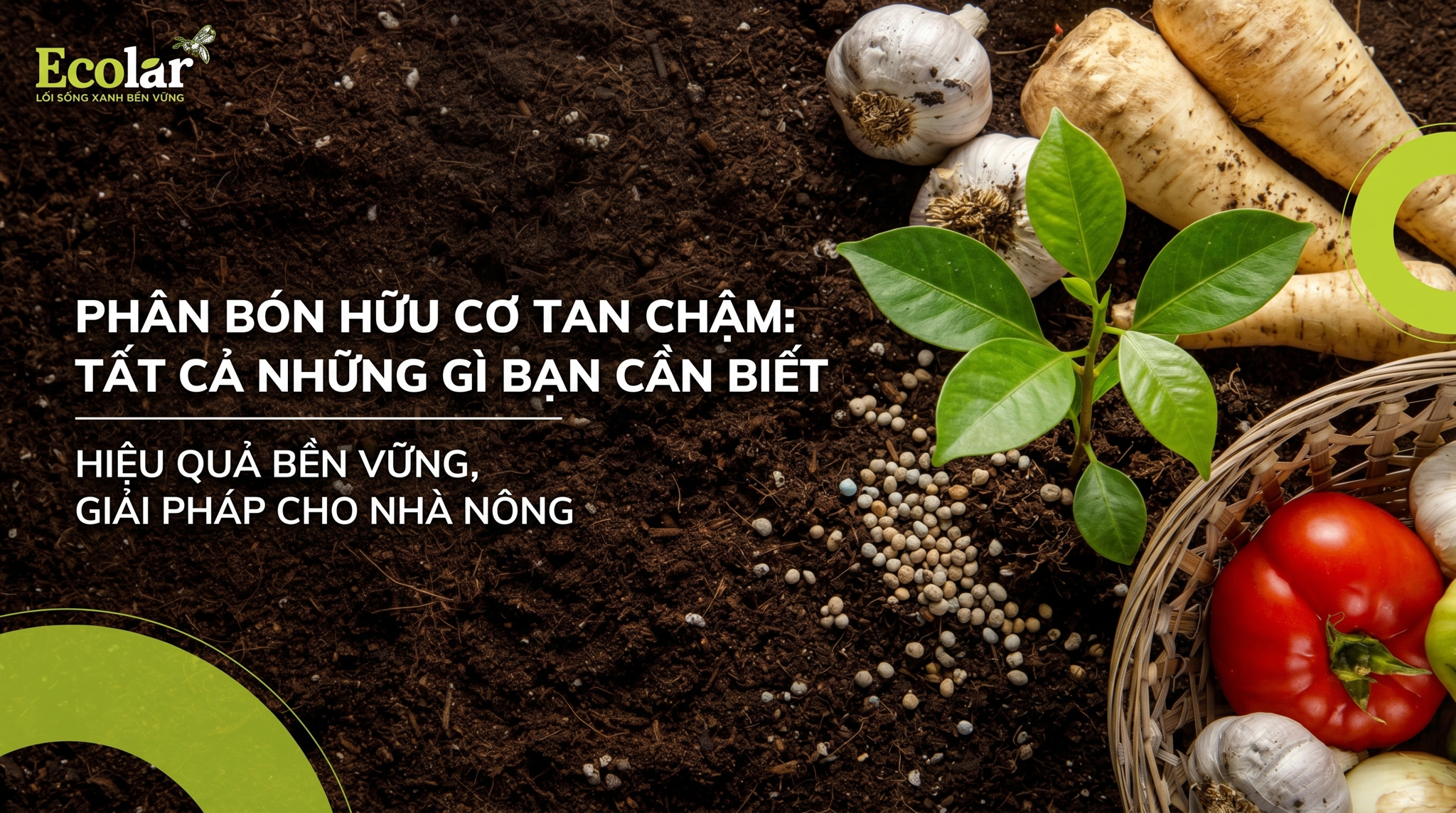 Phân bón hữu cơ tan chậm là gì? Lợi ích và cách dùng an toàn