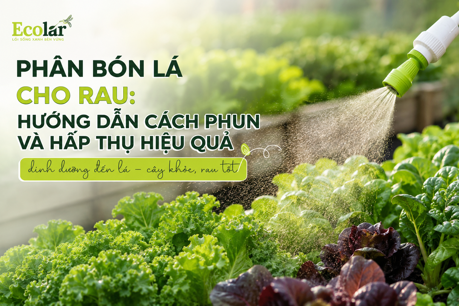 Phân Bón Lá Cho Rau: Hướng Dẫn Cách Phun Và Hấp Thụ Hiệu Quả