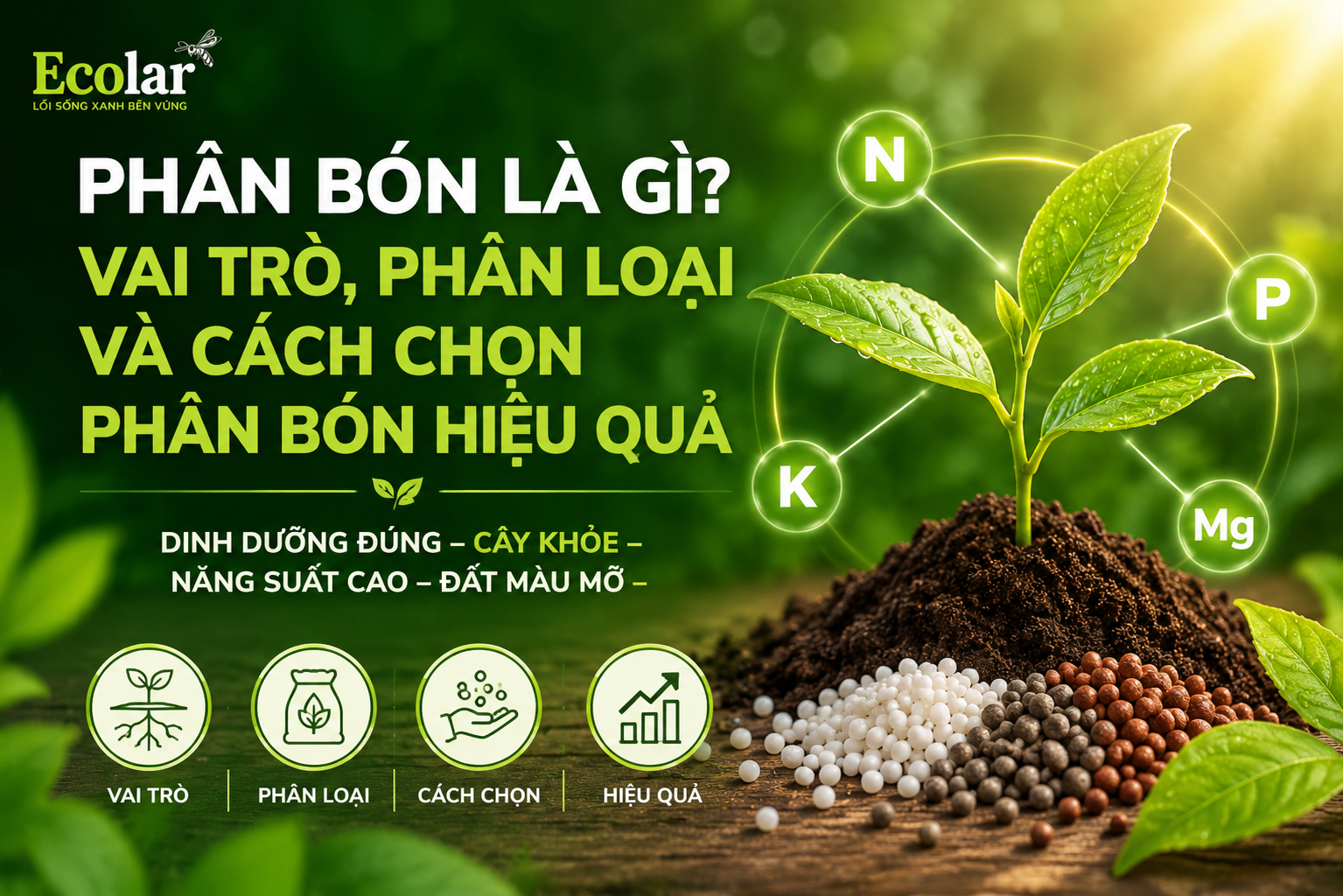 Phân Bón Là Gì? Vai Trò, Phân Loại Và Cách Chọn Phân Bón Hiệu Quả