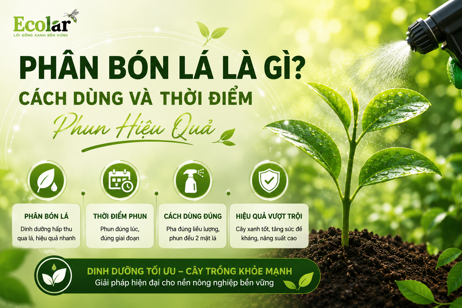 Phân Bón Lá Là Gì? Cách Dùng Và Thời Điểm Phun Hiệu Quả