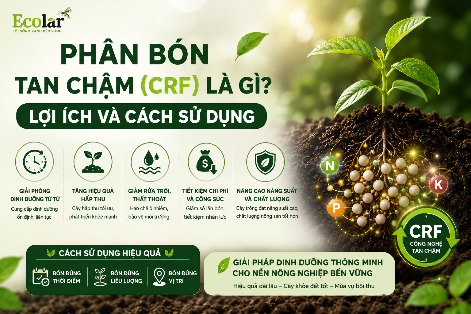 Phân Bón Tan Chậm (CRF) Là Gì? Lợi Ích Và Cách Sử Dụng