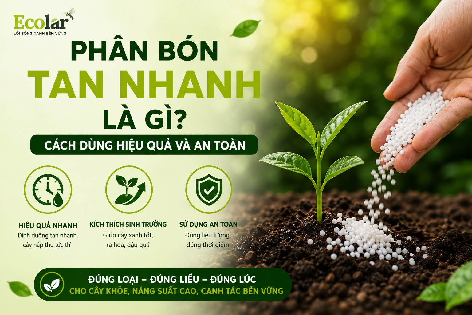 Phân Bón Tan Nhanh Là Gì? Cách Dùng Hiệu Quả Và An Toàn