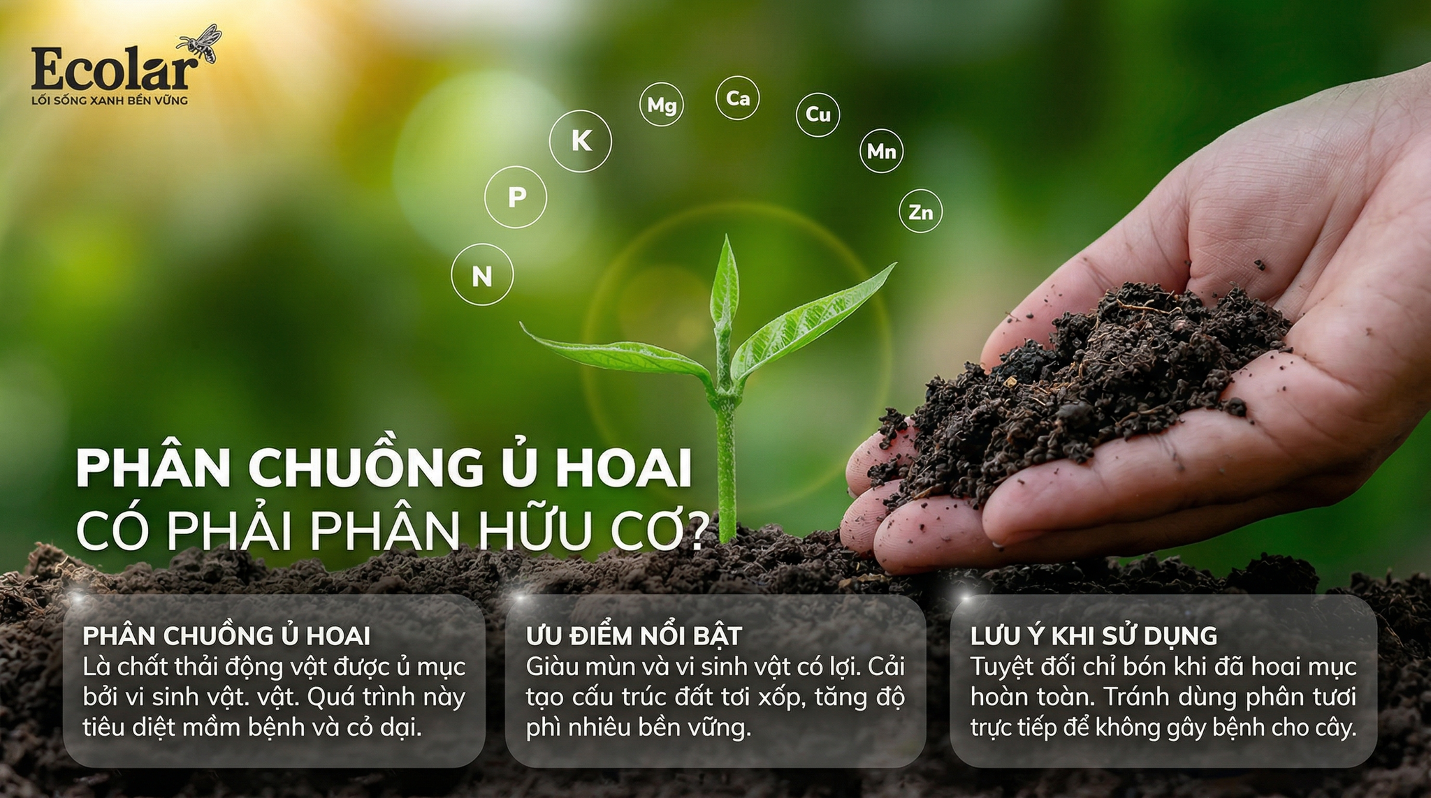 Phân Chuồng Ủ Hoai Có Phải Phân Hữu Cơ Không? Giải Đáp Từ A-Z