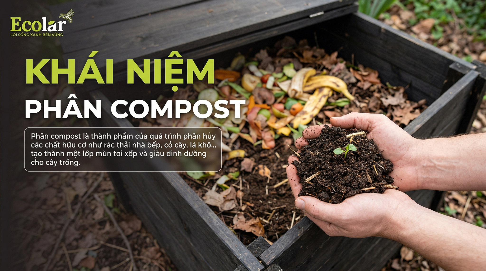 Phân Compost Là Gì? Công Dụng, Cách Dùng Và Lợi Ích Thực Tế