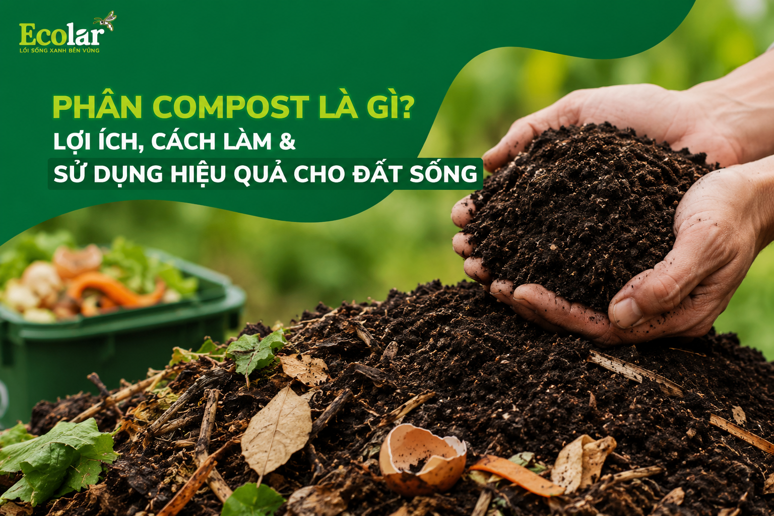 Phân Compost Là Gì? Lợi Ích, Cách Làm & Sử Dụng Hiệu Quả Cho Đất Sống