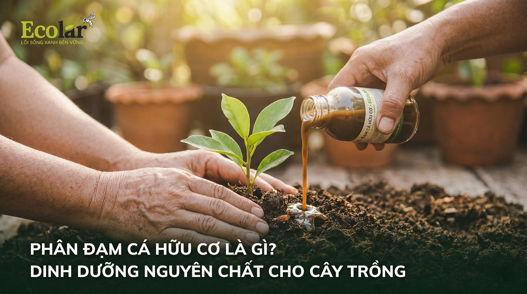 Phân Đạm Cá Hữu Cơ Là Gì? Công Dụng, Cách Dùng Và Lợi Ích