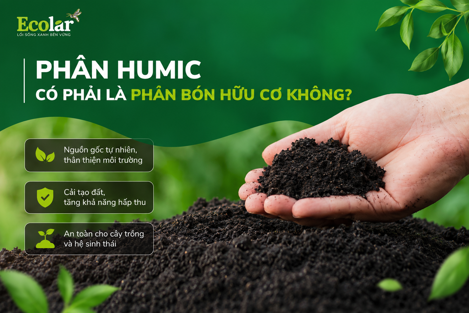 Phân Humic Có Phải Là Phân Bón Hữu Cơ Không?