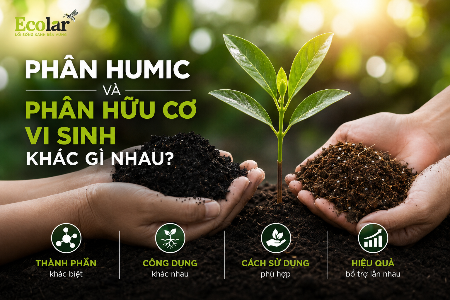 Phân Humic Và Phân Hữu Cơ Vi Sinh Khác Gì Nhau?