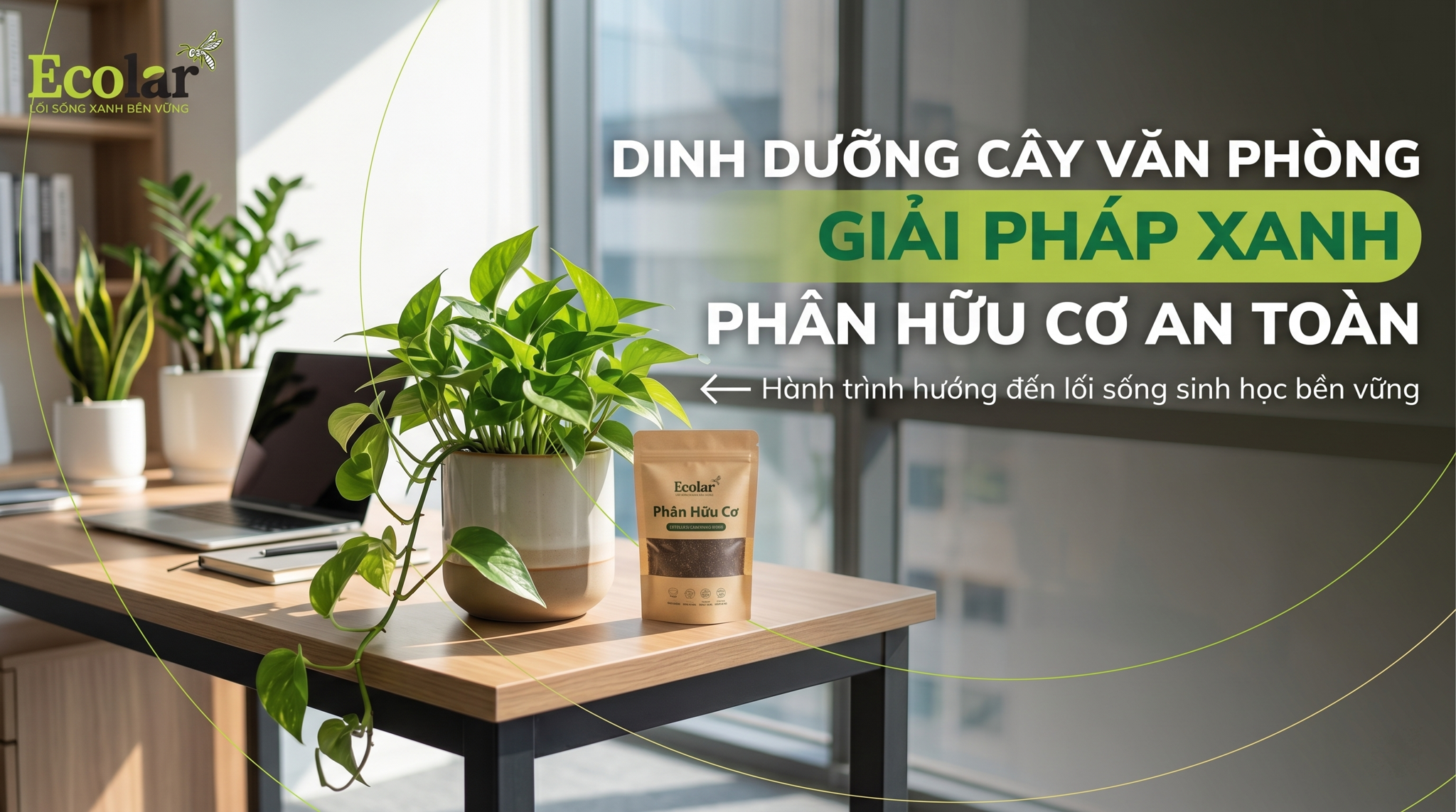 Phân Hữu Cơ Cho Cây Văn Phòng: Loại Ít Mùi, Dễ Dùng Nhất