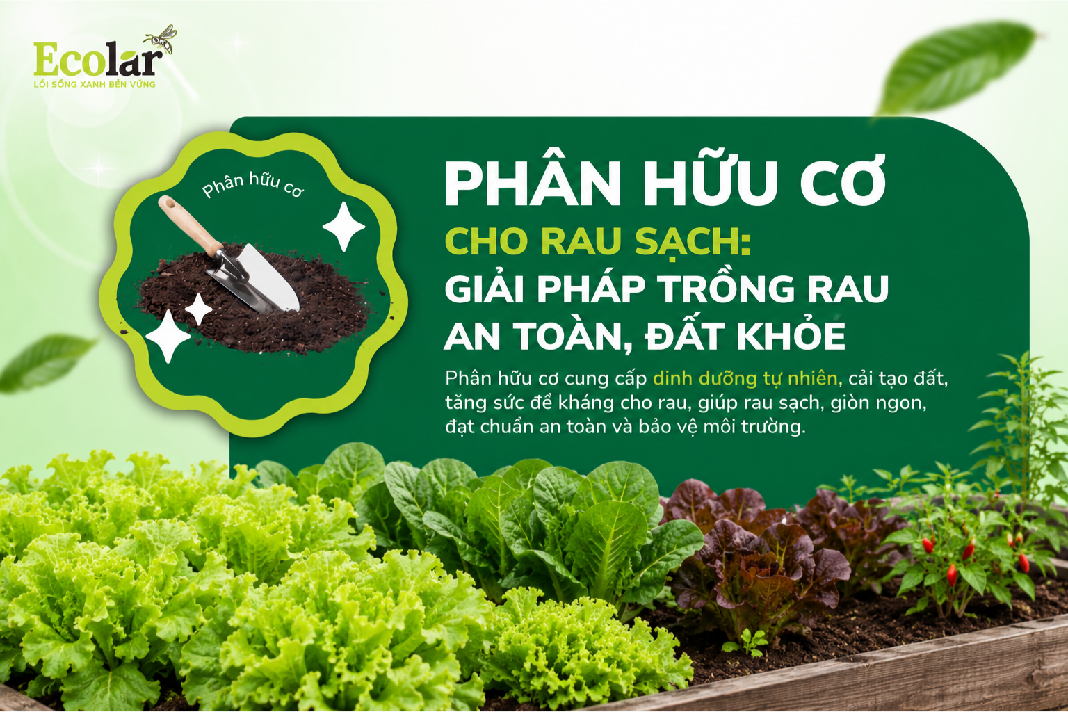 Phân Hữu Cơ Cho Rau Sạch: Giải Pháp Trồng Rau An Toàn, Đất Khỏe