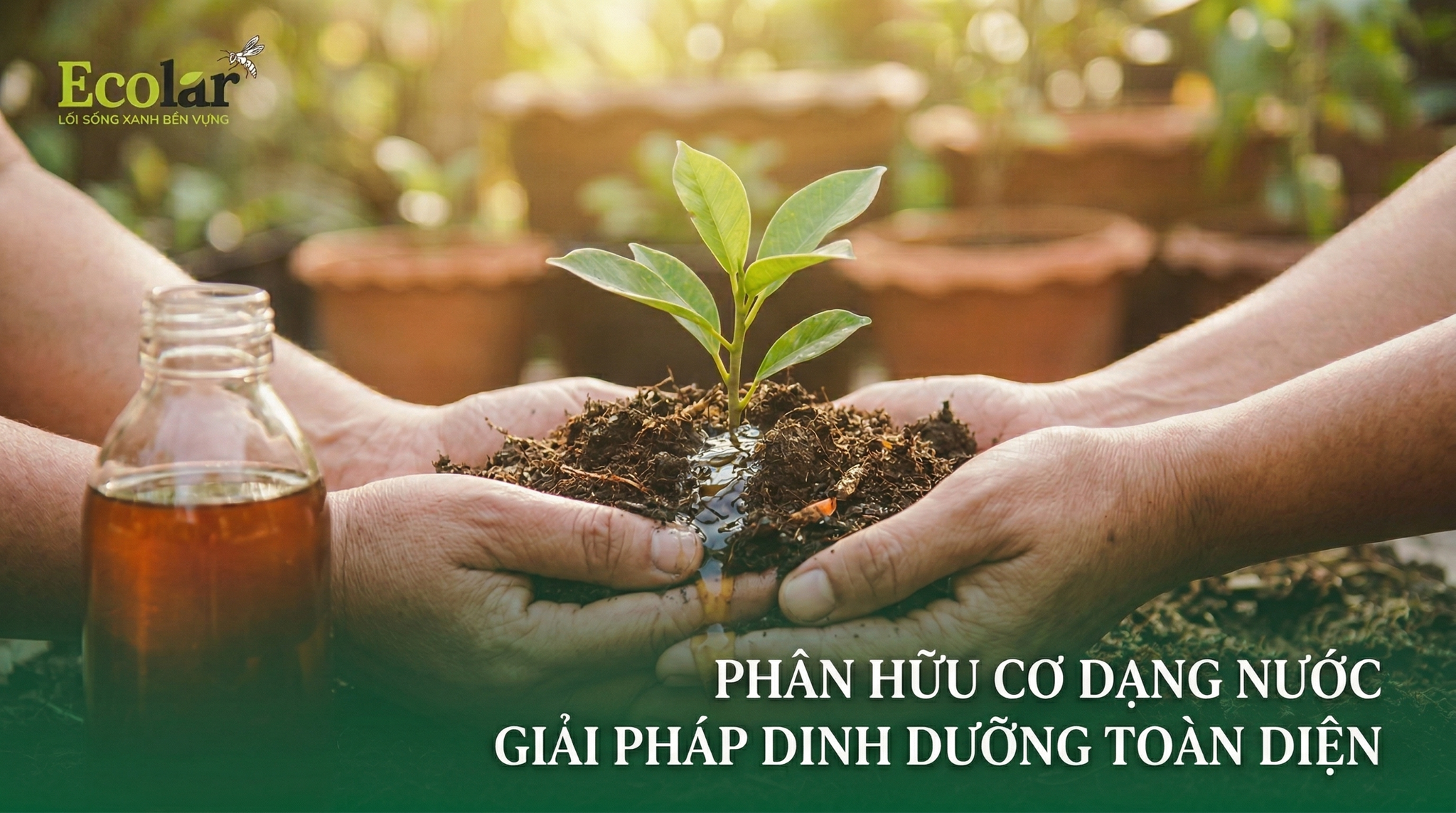 Phân Hữu Cơ Dạng Nước: Giải Mã Từ A-Z Cho Người Mới Bắt Đầu