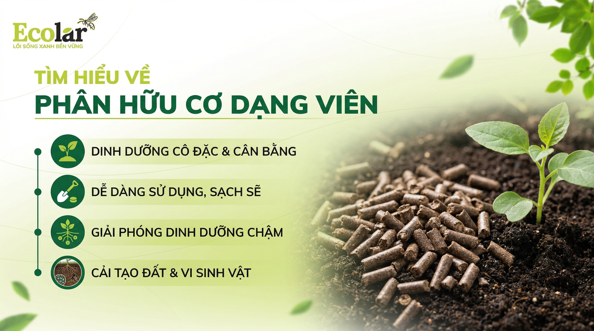 Phân Hữu Cơ Dạng Viên Là Gì? Ưu Điểm, Cách Nhận Biết Và Cách Dùng
