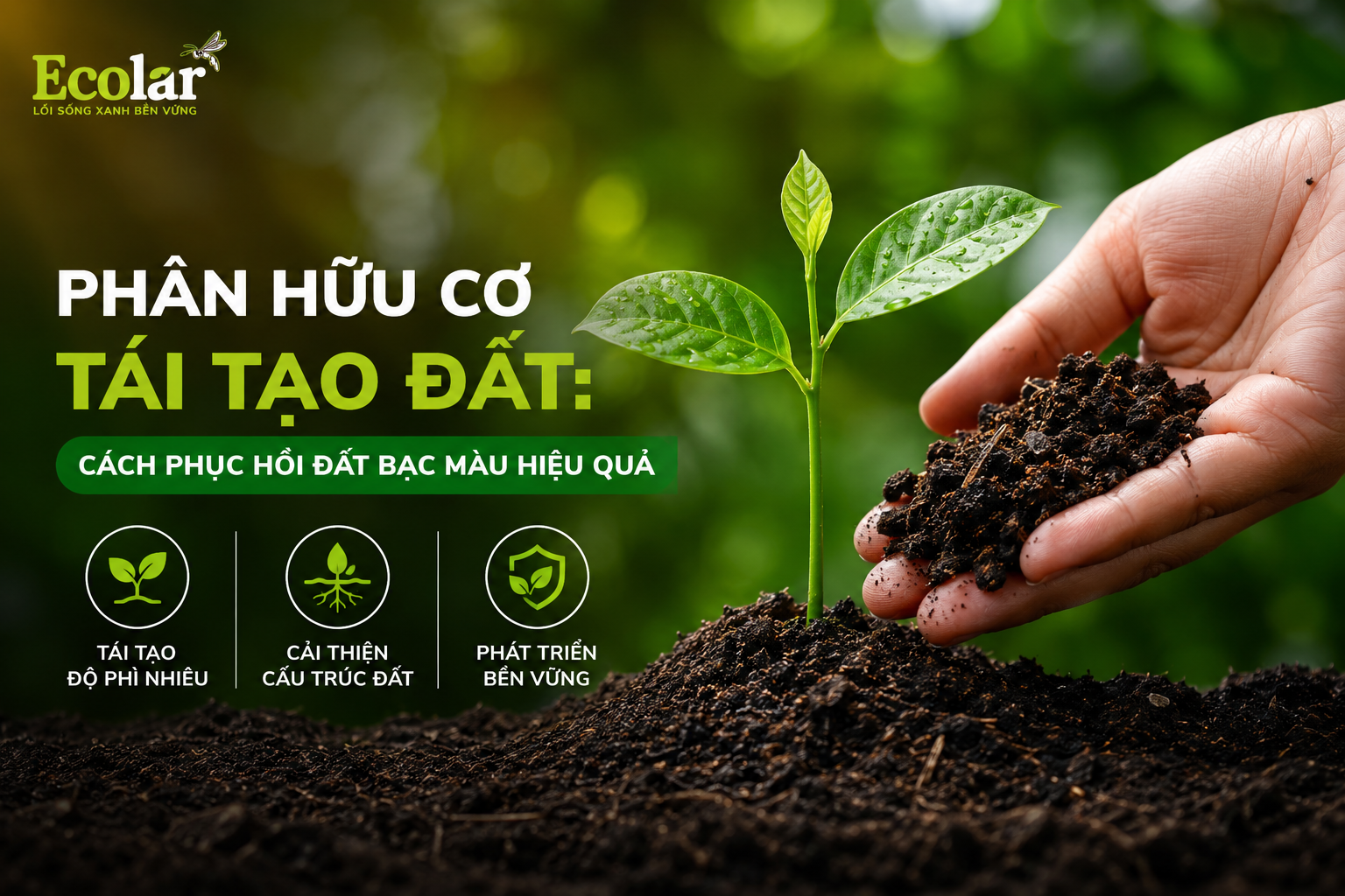 Phân Hữu Cơ Tái Tạo Đất: Cách Phục Hồi Đất Bạc Màu Hiệu Quả