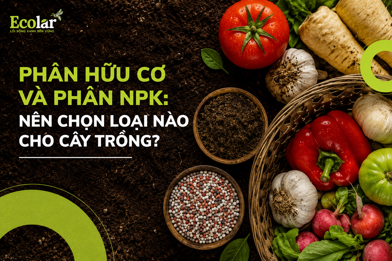 Phân Hữu Cơ Và Phân NPK: Nên Chọn Loại Nào Cho Cây Trồng?