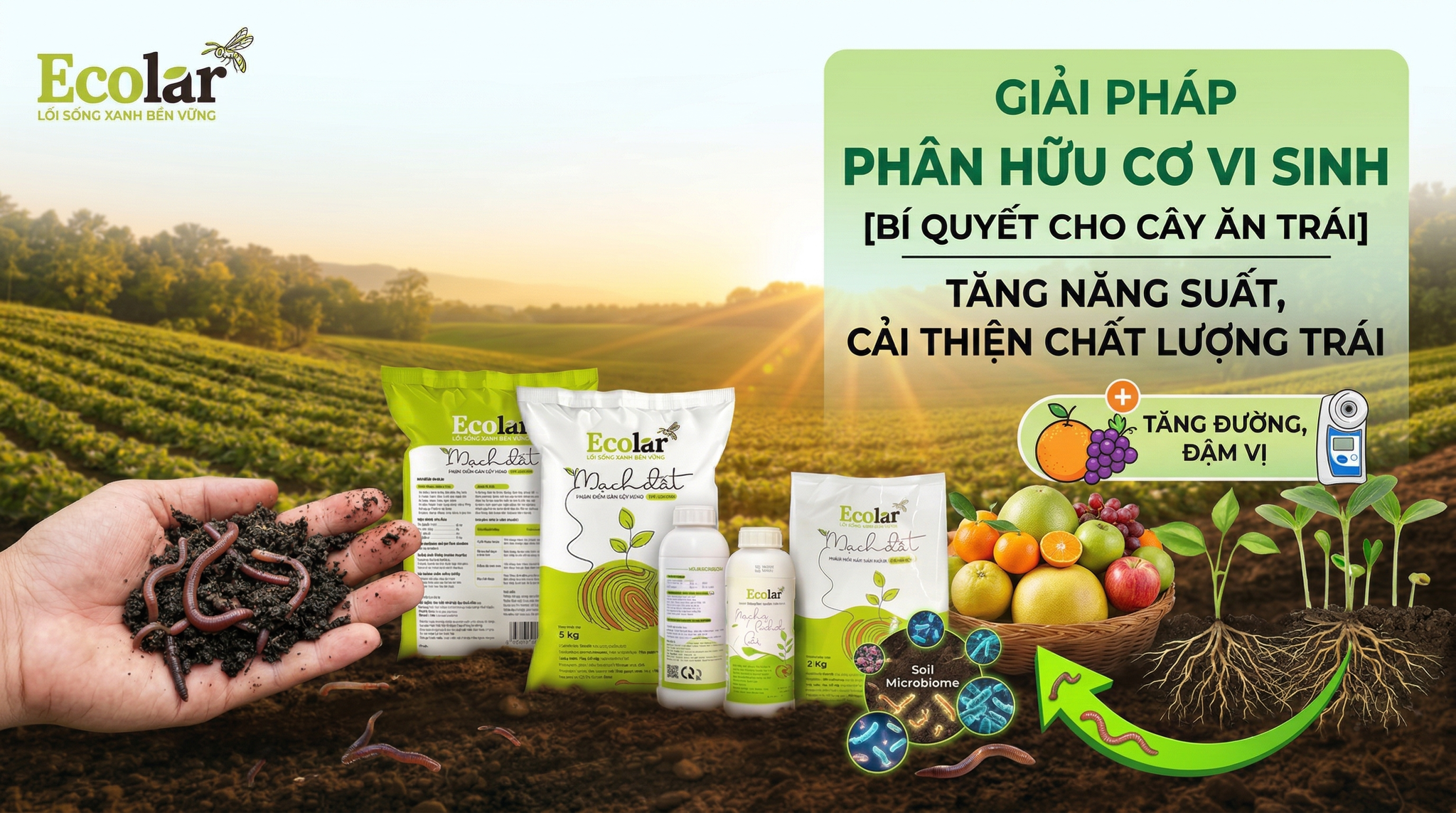 Phân Hữu Cơ Vi Sinh Cho Cây Ăn Trái: Cách Chọn Và Dùng