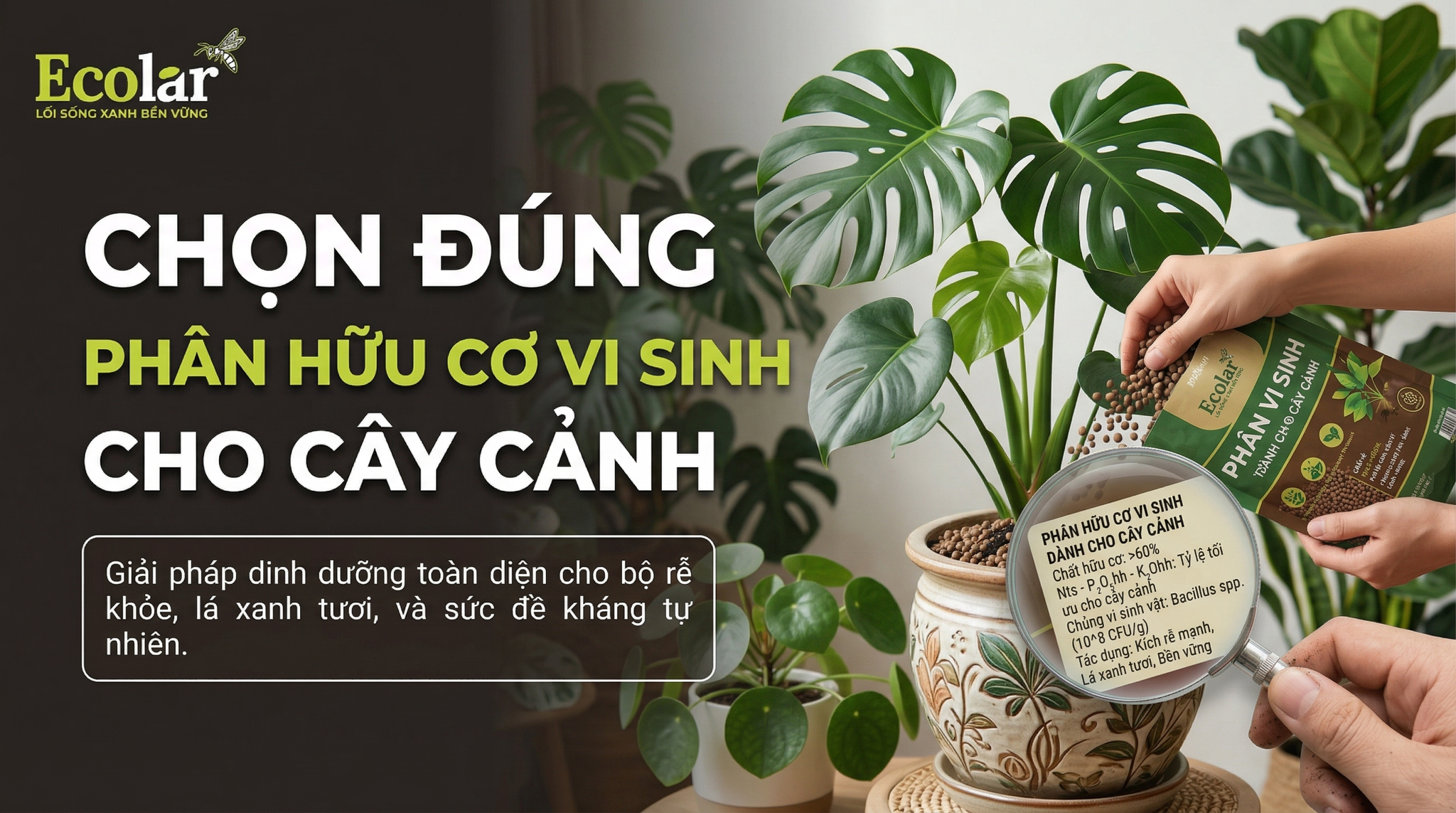 Phân Hữu Cơ Vi Sinh Cho Cây Cảnh: Cách Chọn Và Sử Dụng