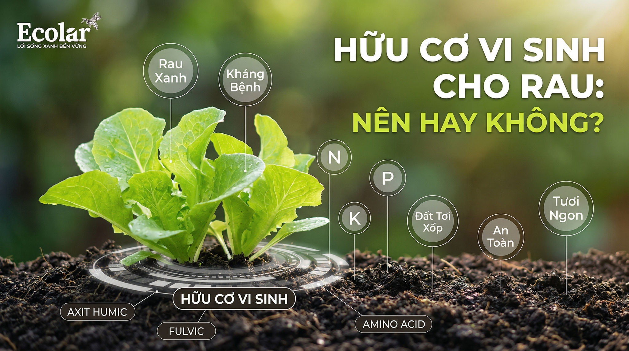 Phân Hữu Cơ Vi Sinh Có Dùng Được Cho Rau Không?