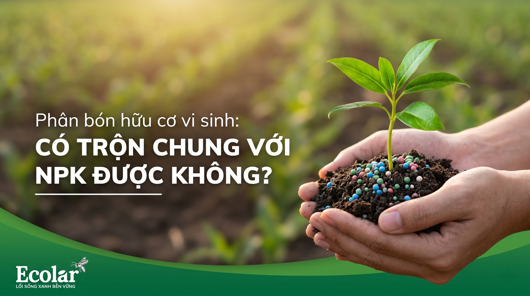 Phân Hữu Cơ Vi Sinh Có Trộn Với NPK Được Không?