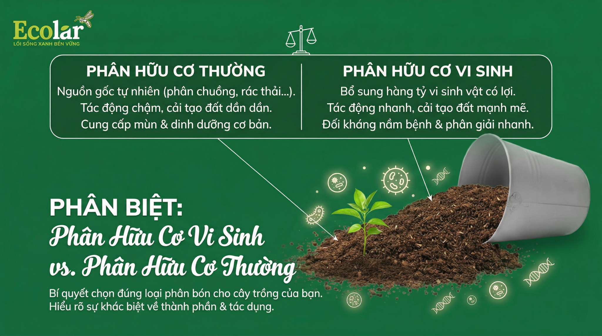 Phân Hữu Cơ Vi Sinh Khác Gì Phân Hữu Cơ Thường?