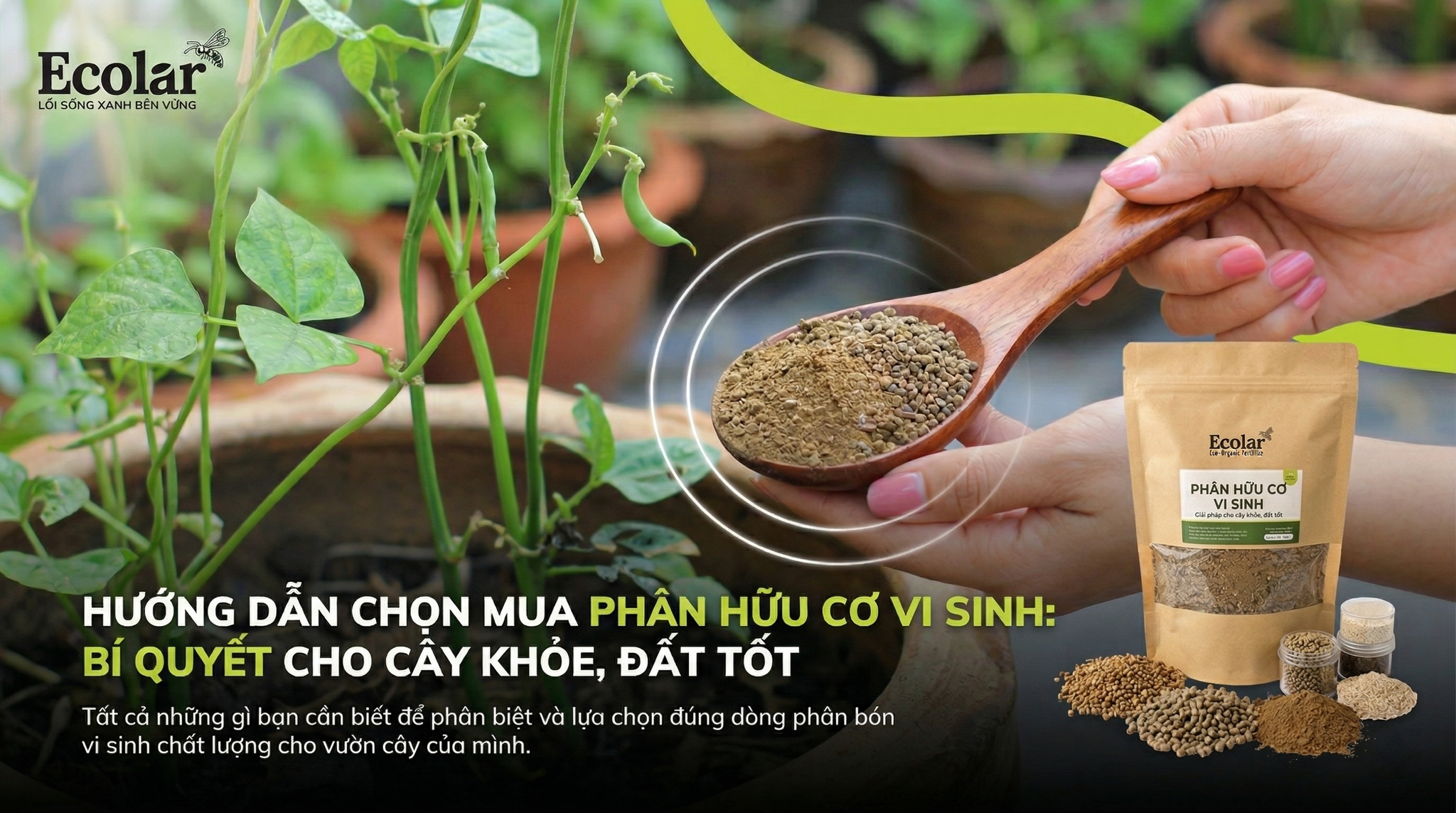 Phân Hữu Cơ Vi Sinh Là Gì? Tất Tần Tật Công Dụng & Cách Chọn Mua Chuẩn