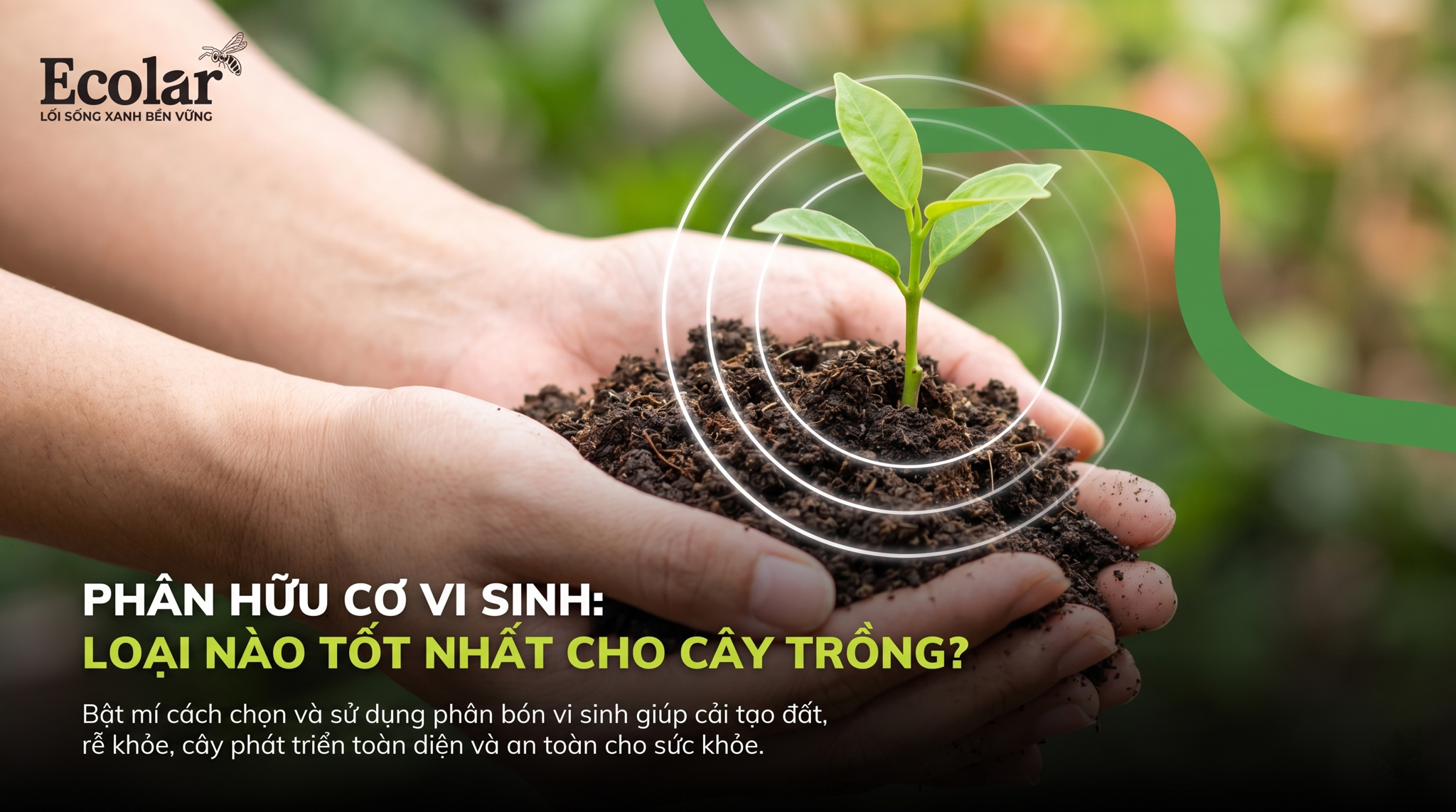 Phân Hữu Cơ Vi Sinh Nào Tốt? Cách Chọn Theo Từng Nhu Cầu