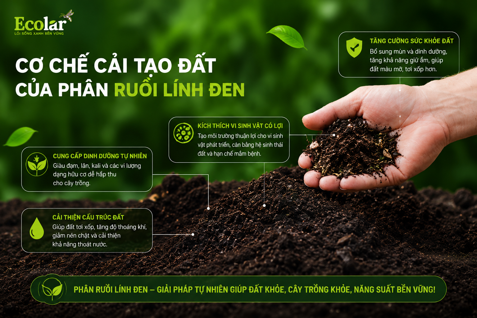Phân Ruồi Lính Đen Giúp Cải Tạo Đất Và Nuôi Rễ Như Thế Nào?