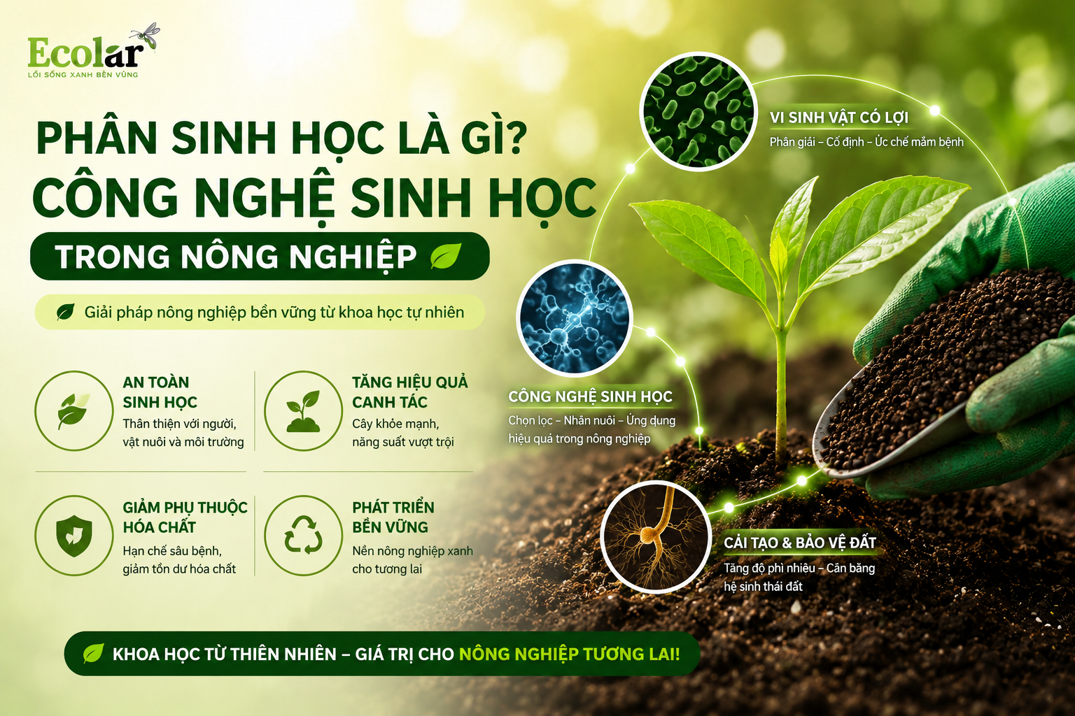 Phân Sinh Học Là Gì? Công Nghệ Sinh Học Trong Nông Nghiệp
