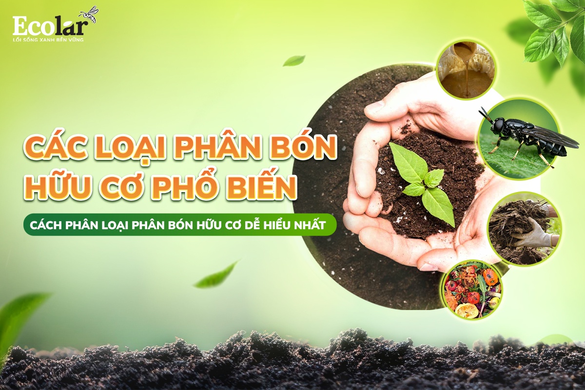 Các Loại Phân Bón Hữu Cơ Phổ Biến & Cách Phân Loại Phân Bón Hữu Cơ Dễ Hiểu Nhất