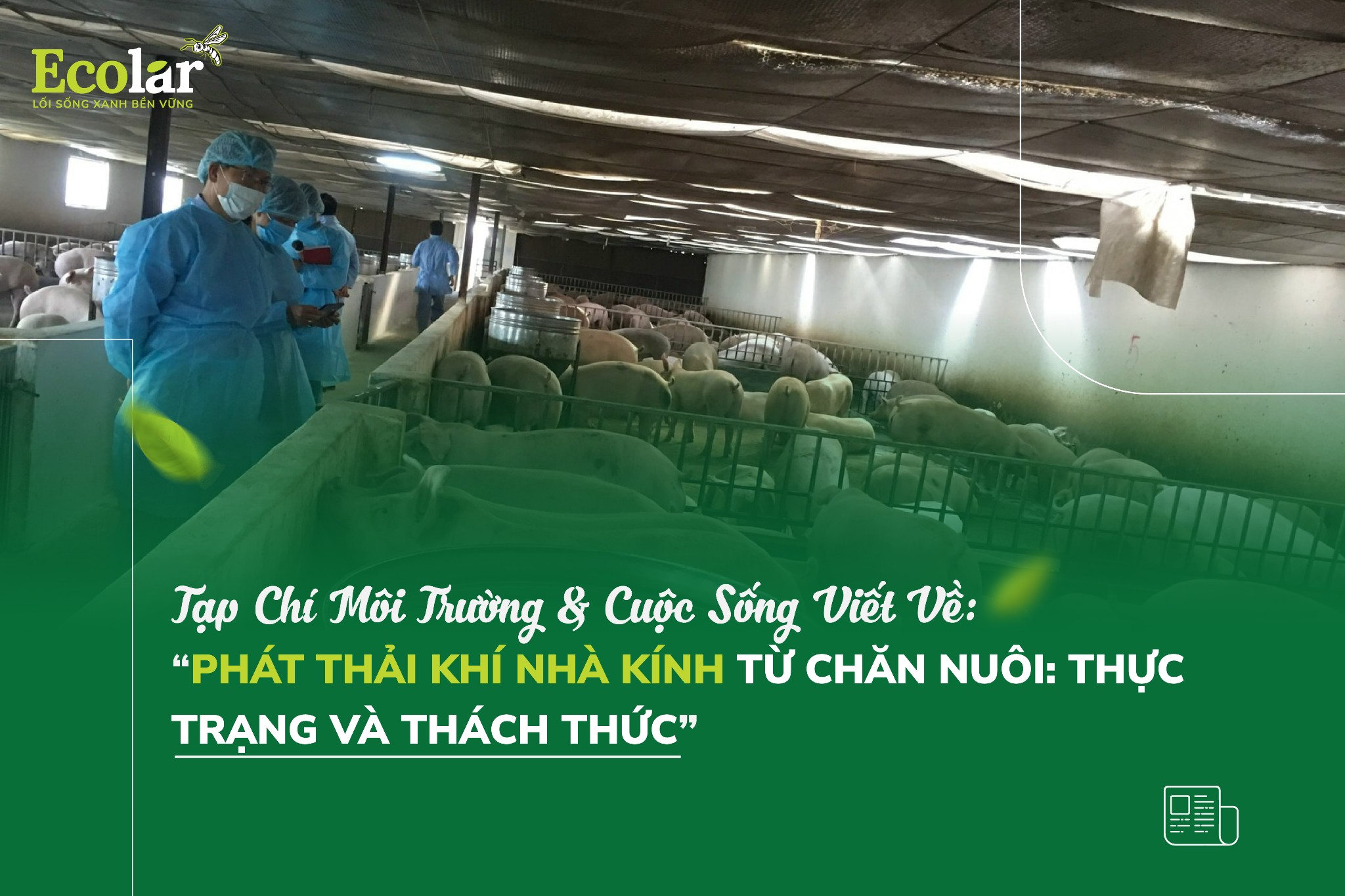 Phát Thải Khí Nhà Kính Từ Chăn Nuôi: Thực Trạng Và Thách Thức