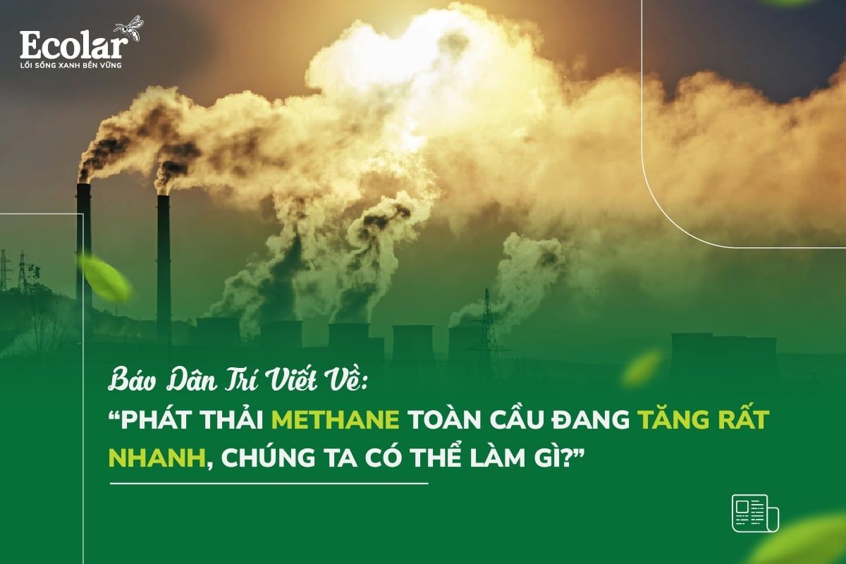 Phát thải methane toàn cầu đang tăng rất nhanh, chúng ta có thể làm gì?