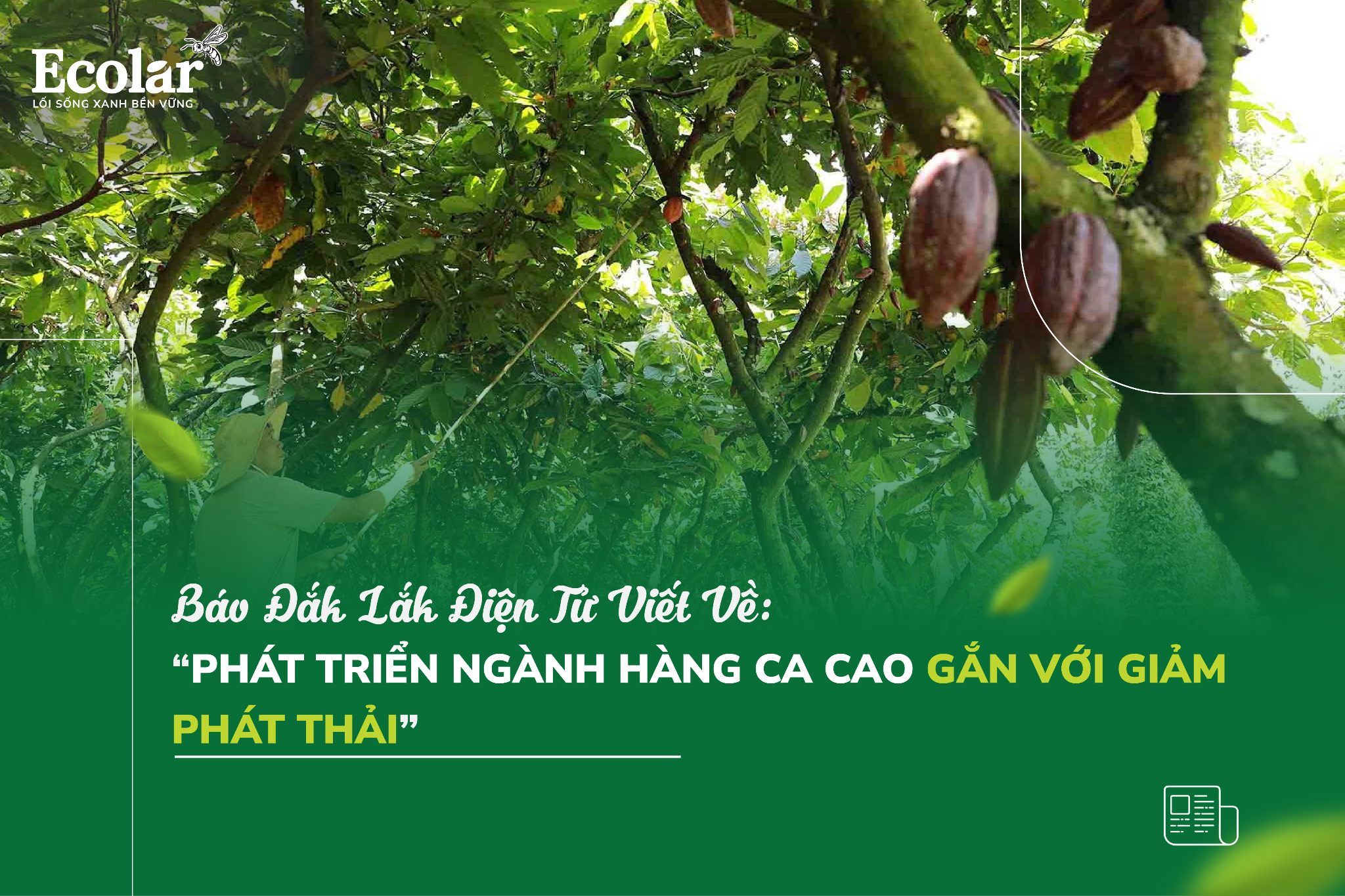 Phát Triển Ngành Hàng Ca Cao Gắn Với Giảm Phát Thải