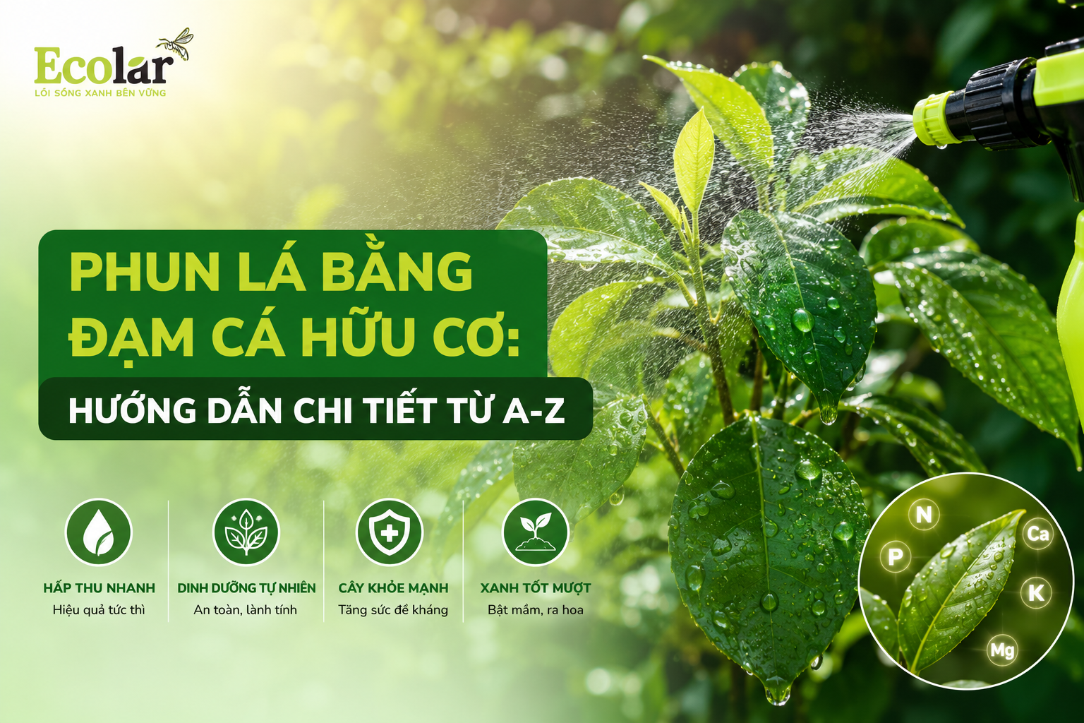 Phun Lá Bằng Đạm Cá Hữu Cơ: Hướng Dẫn Chi Tiết Từ A-Z