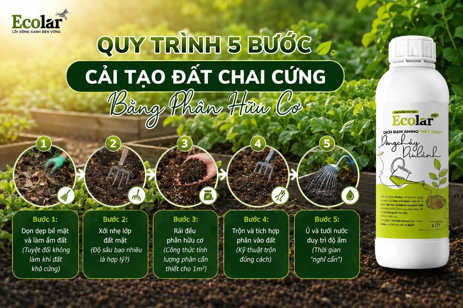Quy Trình 5 Bước Cải Tạo Đất Chai Cứng Bằng Phân Hữu Cơ