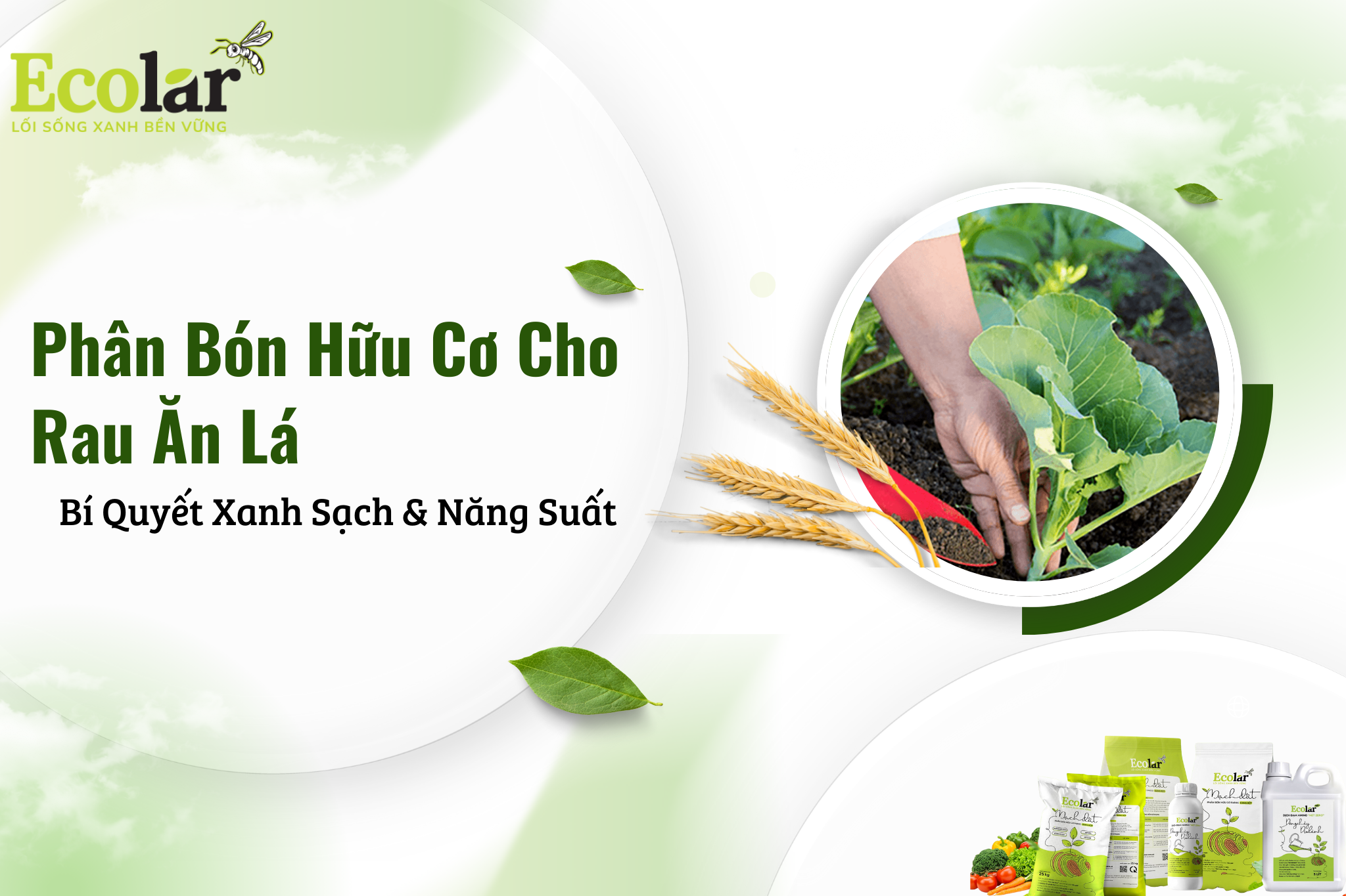 Phân Bón Hữu Cơ Cho Rau Ăn Lá: Bí Quyết Xanh Sạch & Năng Suất
