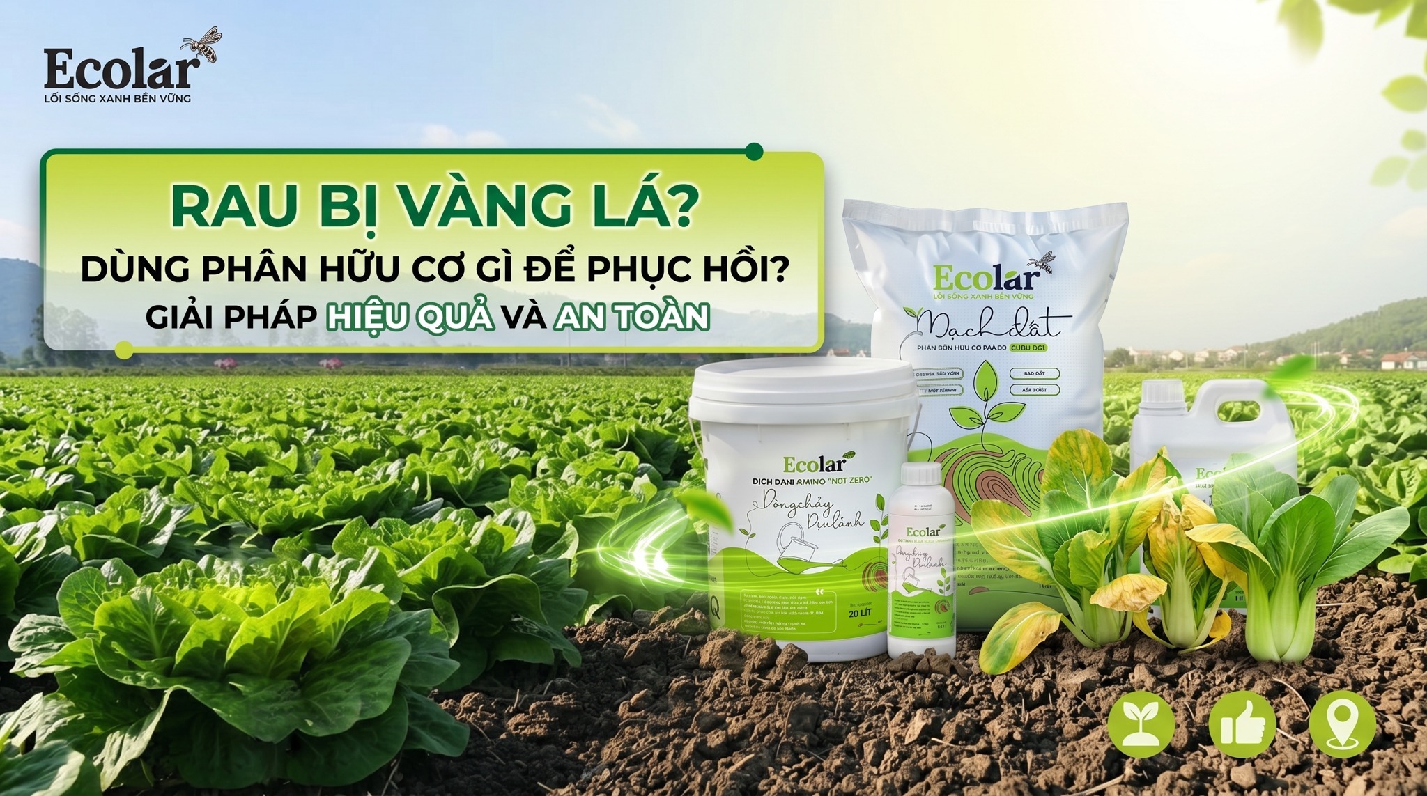 Rau Bị Vàng Lá Nên Bón Phân Hữu Cơ Gì Để Xanh Lại?