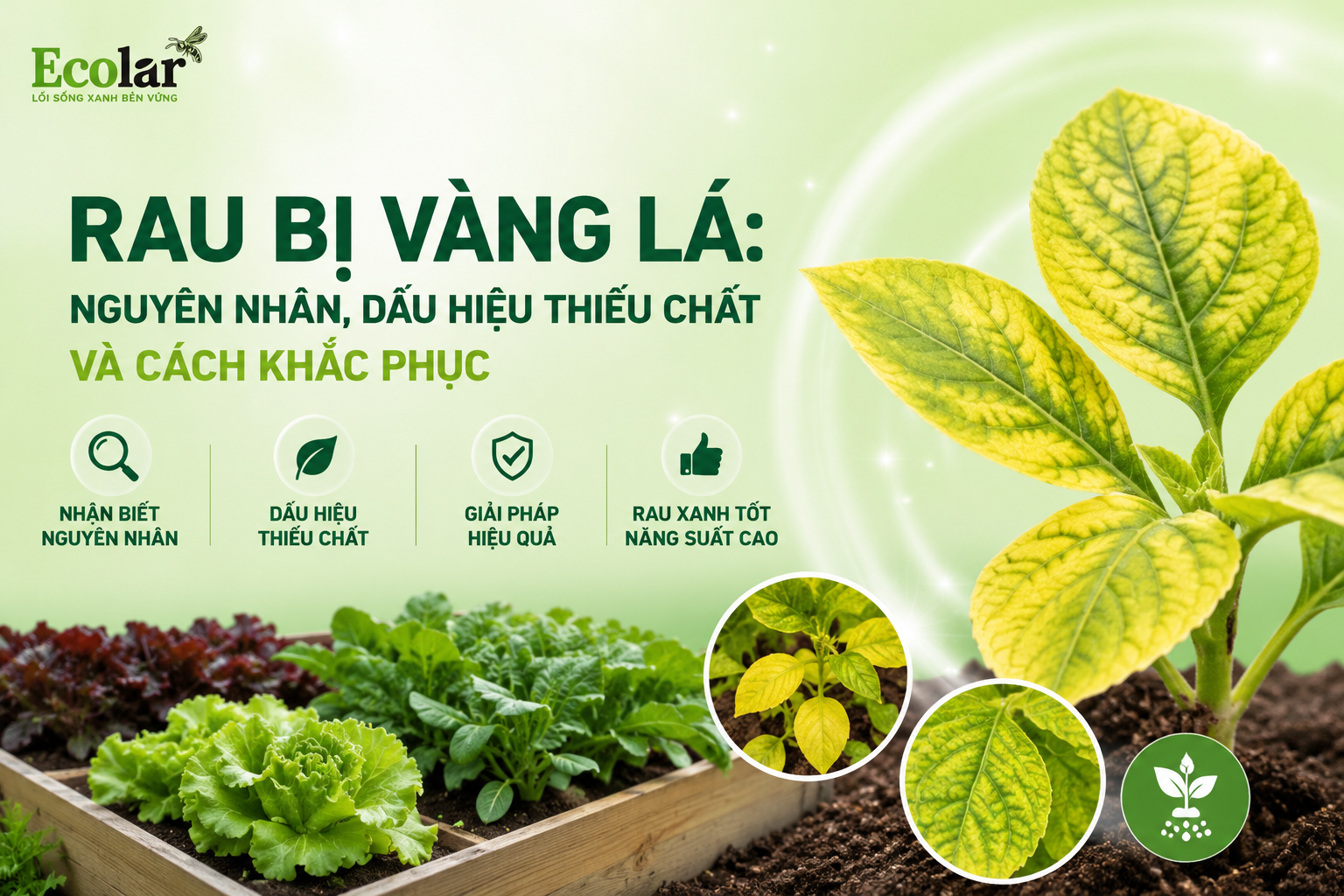 Rau Bị Vàng Lá: Nguyên Nhân, Dấu Hiệu Thiếu Chất Và Cách Khắc Phục