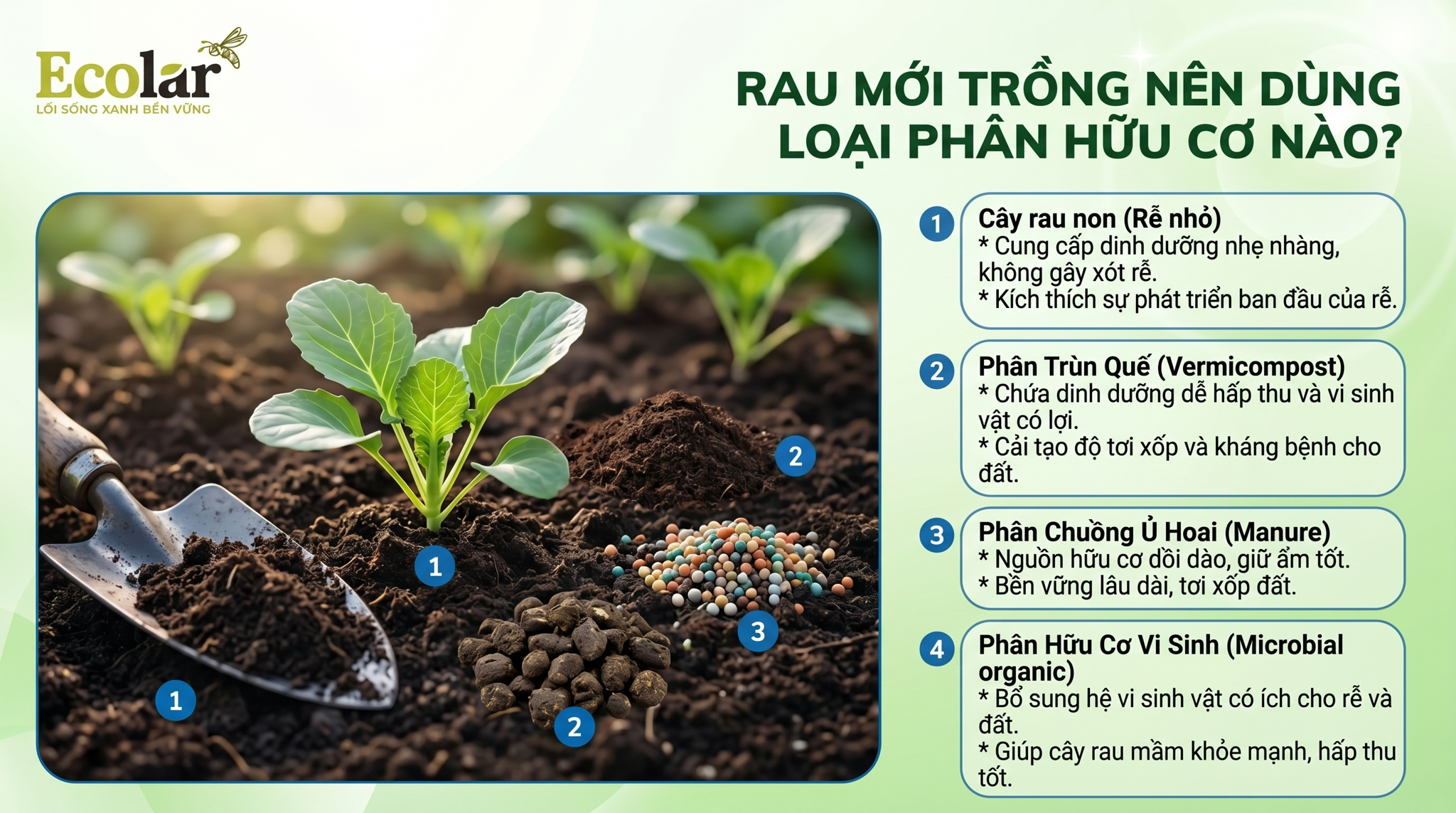 Rau Mới Trồng Nên Dùng Loại Phân Hữu Cơ Nào An Toàn?