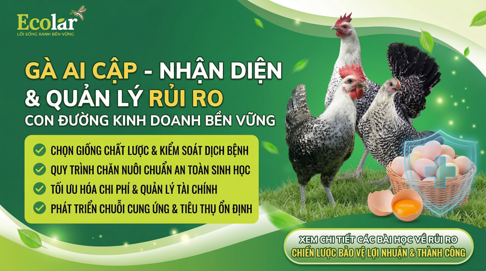 Rủi Ro Khi Kinh Doanh Gà Ai Cập: 7 Điều Bạn Phải Biết Trước Khi Đầu Tư