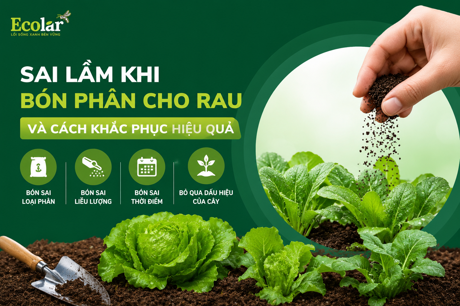 Sai Lầm Khi Bón Phân Cho Rau Và Cách Khắc Phục Hiệu Quả