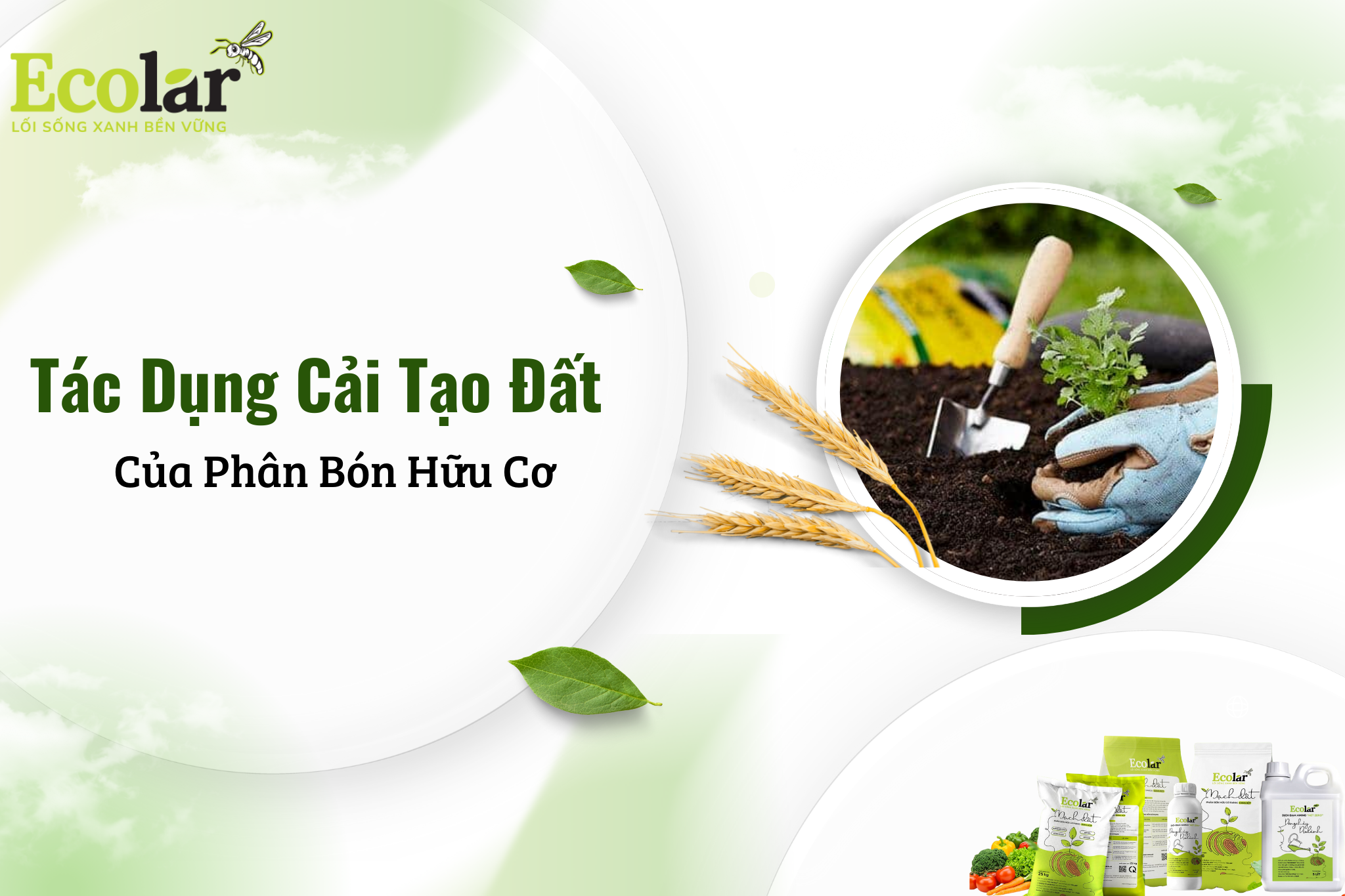 Tác Dụng Cải Tạo Đất Của Phân Bón Hữu Cơ: Hướng Dẫn Chi Tiết