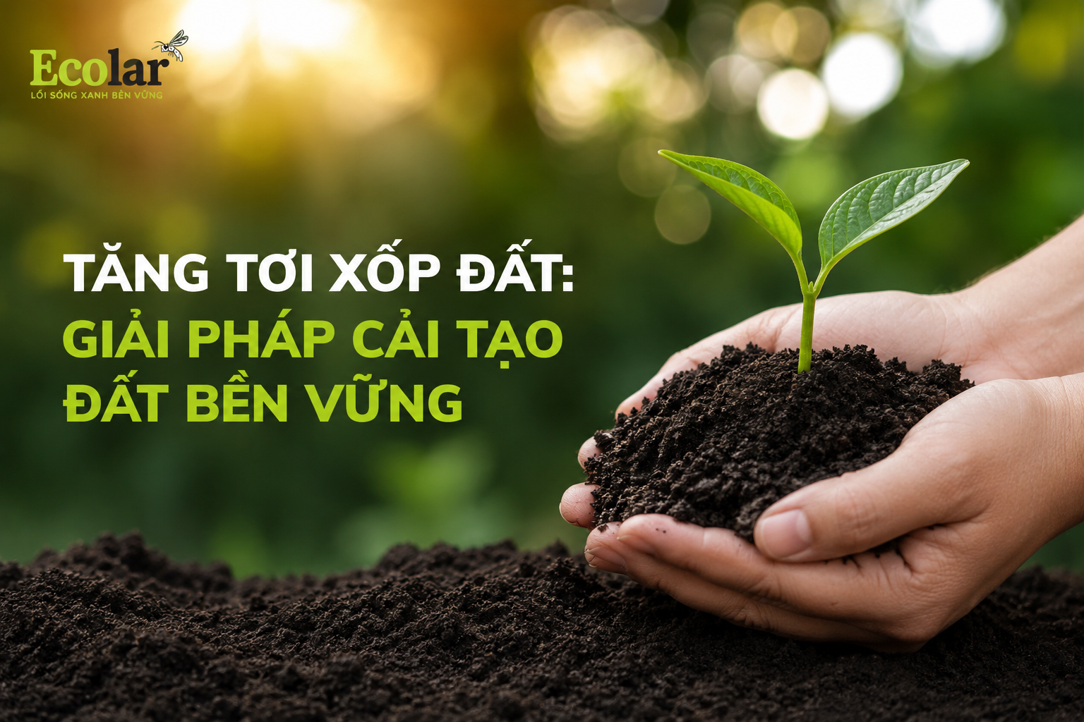 Tăng tơi xốp đất: Giải pháp cải tạo đất bền vững