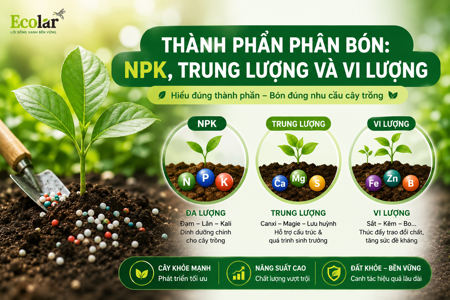 Thành Phần Phân Bón: NPK, Trung Lượng Và Vi Lượng